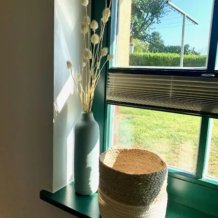 Appartamento In - Nahe Salzhaff & Ostsee - Mit Gartenterrasse